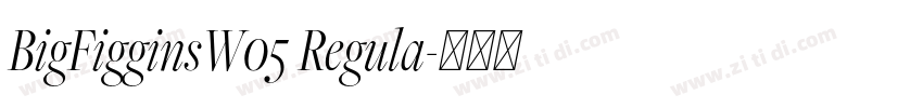 BigFigginsW05 Regula字体转换